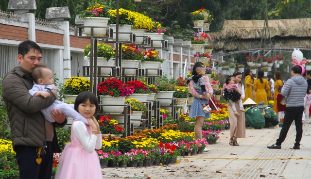 Người dân đổ xô đến chụp hình lưu niệm con đường hoa ở thành Vinh - 14