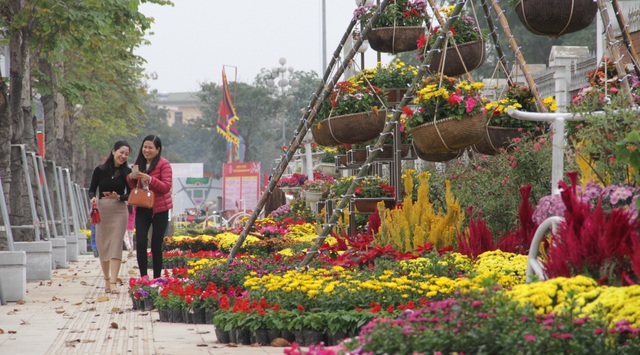 Người dân đổ xô đến chụp hình lưu niệm con đường hoa ở thành Vinh - 10