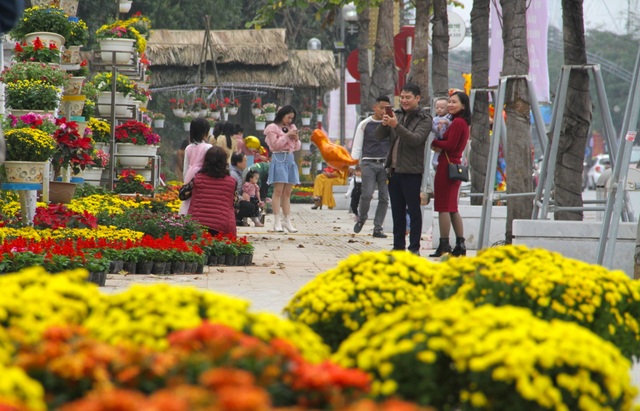 Người dân đổ xô đến chụp hình lưu niệm con đường hoa ở thành Vinh - 15 Người dân đổ xô đến chụp hình lưu niệm con đường hoa ở thành Vinh - 15