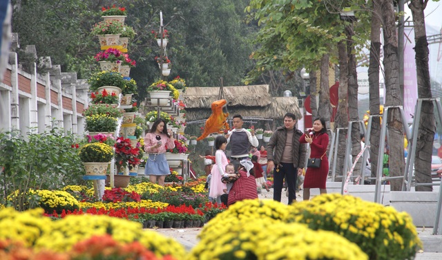 Người dân đổ xô đến chụp hình lưu niệm con đường hoa ở thành Vinh - 9 Người dân đổ xô đến chụp hình lưu niệm con đường hoa ở thành Vinh - 9