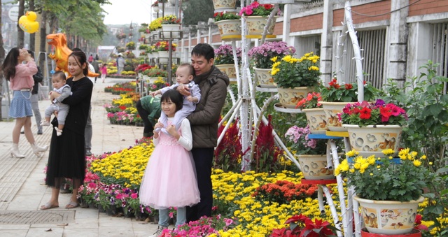 Người dân đổ xô đến chụp hình lưu niệm con đường hoa ở thành Vinh - 3