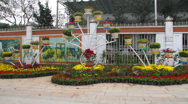Người dân đổ xô đến chụp hình lưu niệm con đường hoa ở thành Vinh - 5 Người dân đổ xô đến chụp hình lưu niệm con đường hoa ở thành Vinh - 5