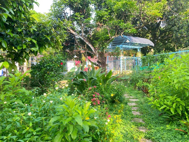 Trang trại rộng 1,5 ha, tràn ngập rau trái sạch của nữ giảng viên ở Sài Gòn - 11