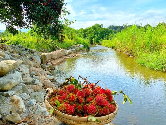 Trang trại rộng 1,5 ha, tràn ngập rau trái sạch của nữ giảng viên ở Sài Gòn - 12