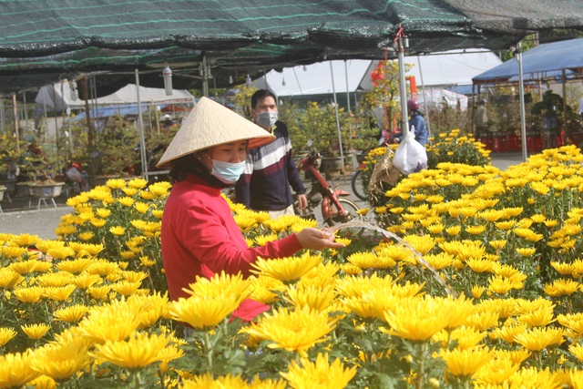 Gia Lai: Người chở hoa nhọc nhằn kiếm tiền ngày cận Tết - 10 Gia Lai: Người chở hoa nhọc nhằn kiếm tiền ngày cận Tết - 10