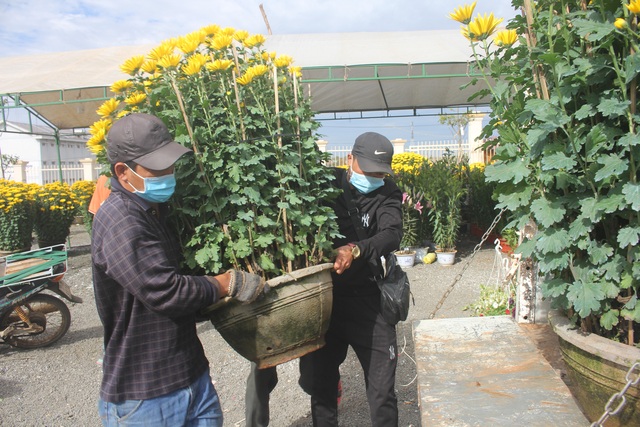 Gia Lai: Người chở hoa nhọc nhằn kiếm tiền ngày cận Tết - 2 Gia Lai: Người chở hoa nhọc nhằn kiếm tiền ngày cận Tết - 2