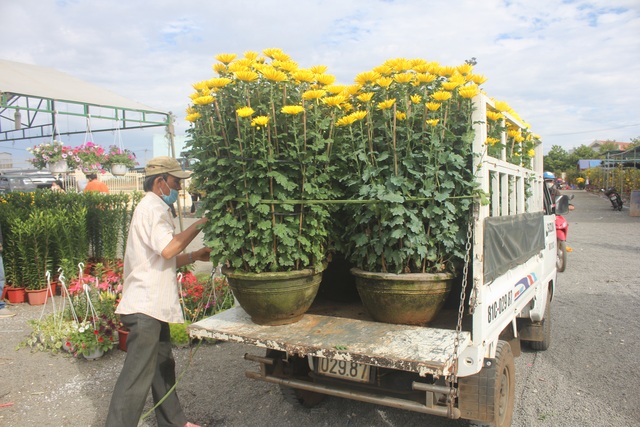 Gia Lai: Người chở hoa nhọc nhằn kiếm tiền ngày cận Tết - 7 Gia Lai: Người chở hoa nhọc nhằn kiếm tiền ngày cận Tết - 7