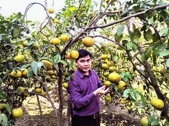 Cuộc phiêu lưu của thầy dạy Toán và con dế mèn - 5 Cuộc phiêu lưu của thầy dạy Toán và con dế mèn - 5