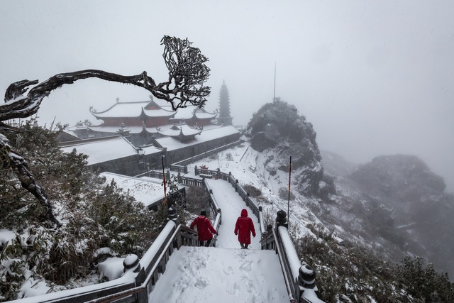 Tourists flock to Fansipan to watch the dense snow fall like Europe - 4