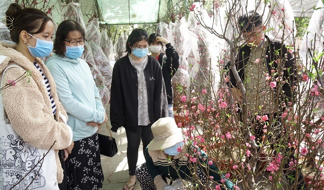 Ế hoa Tết, dân buôn thà đập chậu bỏ chứ không bán tháo - 1 Ế hoa Tết, dân buôn thà đập chậu bỏ chứ không bán tháo - 1