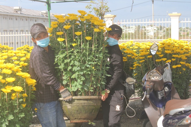 Gia Lai: Người chở hoa nhọc nhằn kiếm tiền ngày cận Tết - 6 Gia Lai: Người chở hoa nhọc nhằn kiếm tiền ngày cận Tết - 6
