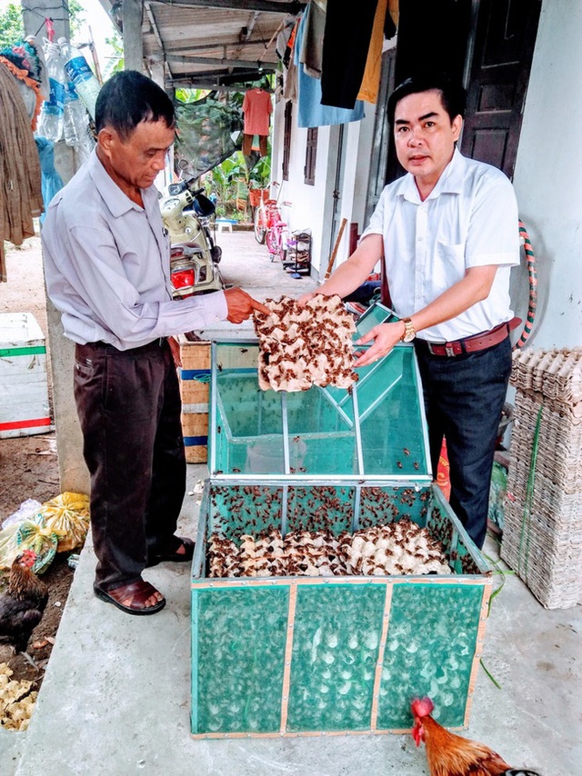 Cuộc phiêu lưu của thầy dạy Toán và con dế mèn - 6 Cuộc phiêu lưu của thầy dạy Toán và con dế mèn - 6