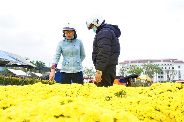Người dân náo nức check in Tết sớm ở chợ hoa xuân Đà Nẵng - 1 Người dân náo nức check in Tết sớm ở chợ hoa xuân Đà Nẵng - 1