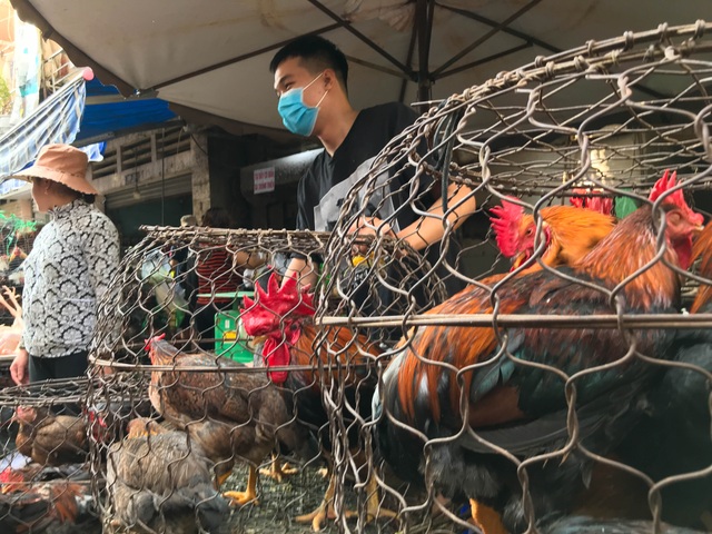 Hốt bạc từ gà, 6 người bán từ sáng đến khuya, không kịp về quê ăn Tết - 8 Hốt bạc từ gà, 6 người bán từ sáng đến khuya, không kịp về quê ăn Tết - 8