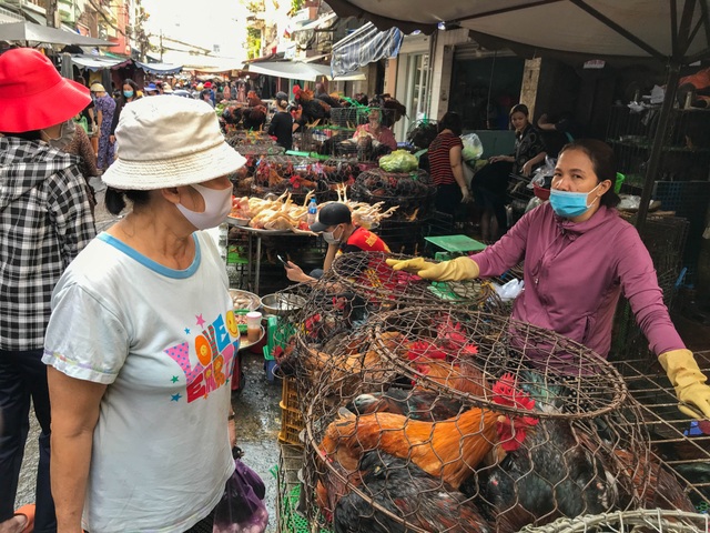 Hốt bạc từ gà, 6 người bán từ sáng đến khuya, không kịp về quê ăn Tết - 1 Hốt bạc từ gà, 6 người bán từ sáng đến khuya, không kịp về quê ăn Tết - 1