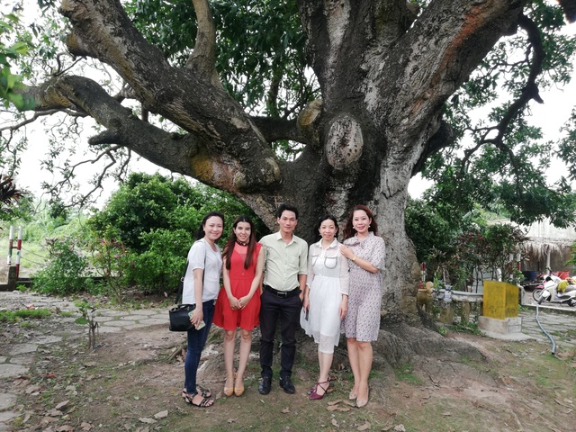 An old mango for 300 years in the land of Prince Bac Lieu 5 people hugging the tree's trunk not all - 9