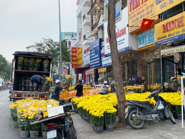 Trâu kiểng độc lạ vài chục triệu đồng; buôn mai, đào buồn chưa từng thấy - 8 Trâu kiểng độc lạ vài chục triệu đồng; buôn mai, đào buồn chưa từng thấy - 8