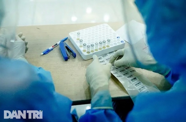 Hỏa tốc lấy 1.600 mẫu máu xét nghiệm tìm kháng thể SARS-CoV-2 - 4