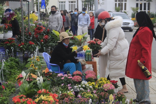 Chợ hoa Xuân rộn ràng ngày cận Tết - 3