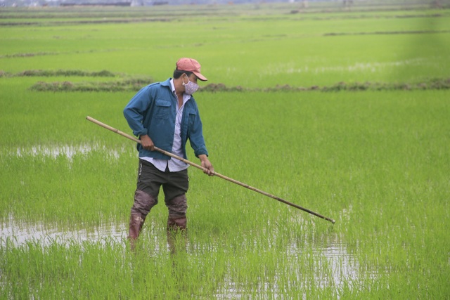 Người dân vùng lũ Quảng Trị sửa soạn đón Tết cổ truyền - 4 Người dân vùng lũ Quảng Trị sửa soạn đón Tết cổ truyền - 4