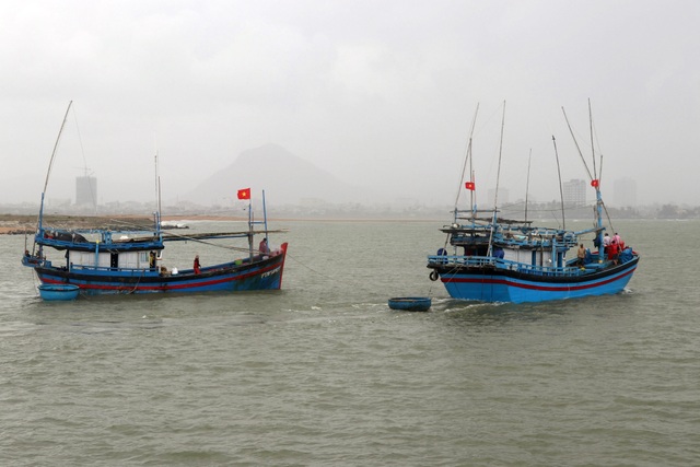 Hàng trăm ngư dân Phú Yên vươn khơi đón Tết trên biển - 6