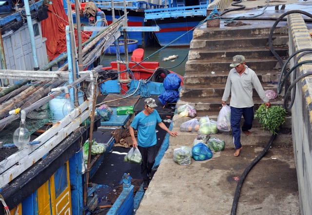 Hàng trăm ngư dân Phú Yên vươn khơi đón Tết trên biển - 3