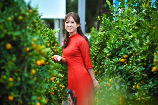 Ninh Thuận: Hoa không về thành phố, nông dân chở ra đường bán - 9 Ninh Thuận: Hoa không về thành phố, nông dân chở ra đường bán - 9