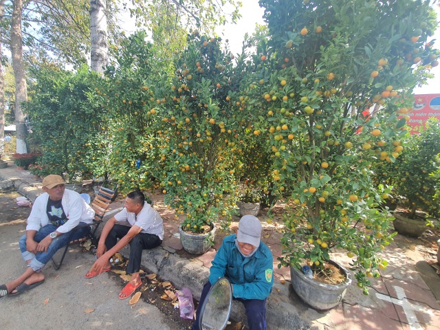 Ninh Thuận: Hoa không về thành phố, nông dân chở ra đường bán - 5 Ninh Thuận: Hoa không về thành phố, nông dân chở ra đường bán - 5