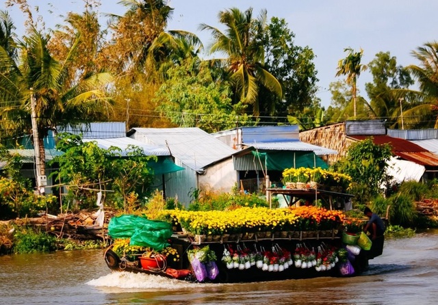 Tết từ sông quê - 5 Tết từ sông quê - 5