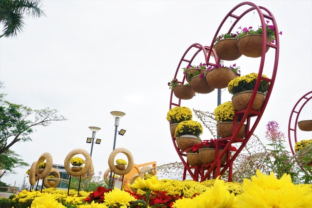 Close-up of the beauty of billions of spring flowers in Da Nang - 9