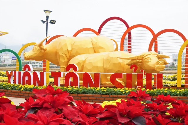 Cận cảnh nhan sắc đường hoa xuân tiền tỷ tại Đà Nẵng - 1 Cận cảnh nhan sắc đường hoa xuân tiền tỷ tại Đà Nẵng - 1
