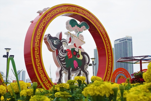 Cận cảnh nhan sắc đường hoa xuân tiền tỷ tại Đà Nẵng - 4
