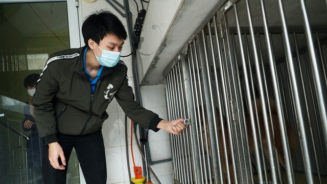 Dịch vụ trông thú cưng kiếm bội tiền cuối năm - 5 Dịch vụ trông thú cưng kiếm bội tiền cuối năm - 5