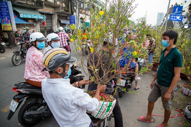 Chợ hoa Xuân ngày cuối năm: Bán tháo đồng giá - 2 Chợ hoa Xuân ngày cuối năm: Bán tháo đồng giá - 2