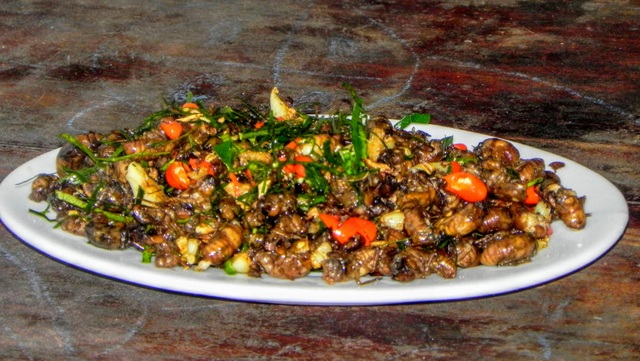 Cuộc phiêu lưu của thầy dạy Toán và con dế mèn - 11 Cuộc phiêu lưu của thầy dạy Toán và con dế mèn - 11