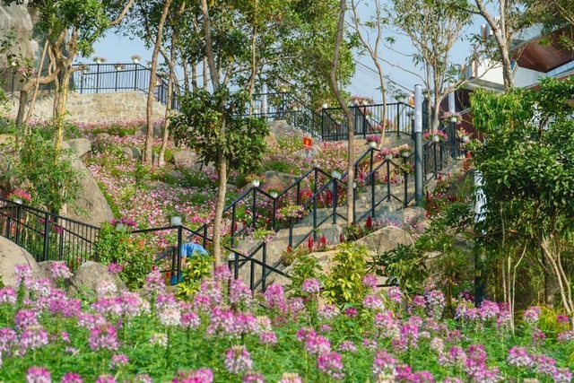 Ba Tay Ninh Mountain: A new spring spiritual destination 2021-7