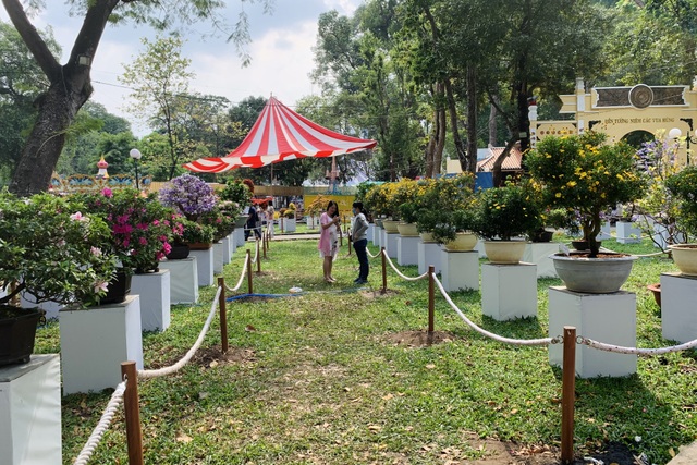 Hội hoa xuân năm Covid, dù đẹp rực rỡ vẫn vắng lặng, đìu hiu - 4 Hội hoa xuân năm Covid, dù đẹp rực rỡ vẫn vắng lặng, đìu hiu - 4