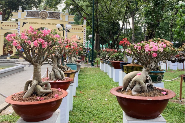 Hội hoa xuân năm Covid, dù đẹp rực rỡ vẫn vắng lặng, đìu hiu - 22 Hội hoa xuân năm Covid, dù đẹp rực rỡ vẫn vắng lặng, đìu hiu - 22