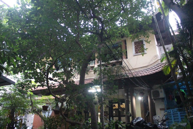 Tết Tết