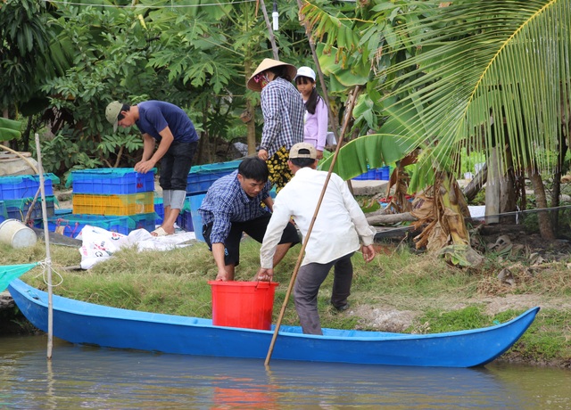Nghề nuôi cá kèo sống khỏe dịp Tết, bỏ túi cả chục triệu đồng mỗi ngày - 4 Nghề nuôi cá kèo sống khỏe dịp Tết, bỏ túi cả chục triệu đồng mỗi ngày - 4