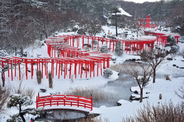 Những cánh cổng torii nổi tiếng nhất tại Nhật Bản - 9