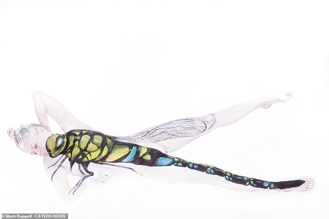Bà bầu hóa thành bồ nông và gấu mèo qua nghệ thuật body-painting - 11 Bà bầu hóa thành bồ nông và gấu mèo qua nghệ thuật body-painting - 11
