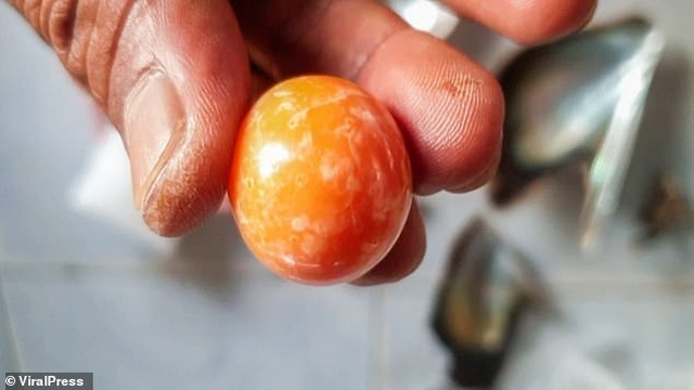 Ăn ốc luộc, người đàn ông vớ cả gia tài vì cắn trúng kho báu 8 tỷ đồng - 3 Ăn ốc luộc, người đàn ông vớ cả gia tài vì cắn trúng kho báu 8 tỷ đồng - 3