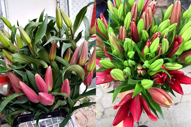 Hoa tươi giá rẻ như rau, chị em rủ nhau mua giải cứu - 3 Hoa tươi giá rẻ như rau, chị em rủ nhau mua giải cứu - 3