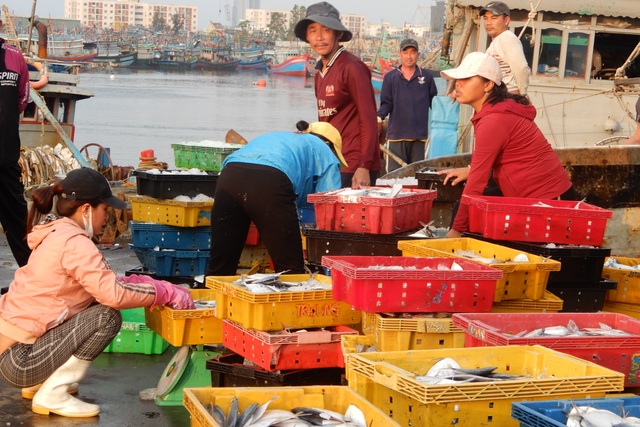 Ăn Tết trên biển, ngư dân trúng lộc đầu năm mới - 1 Ăn Tết trên biển, ngư dân trúng lộc đầu năm mới - 1