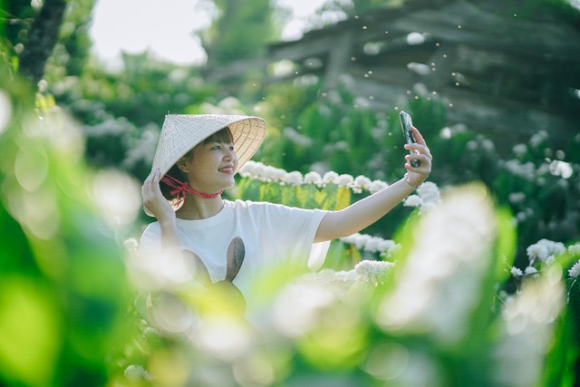 In February, coffee flowers bloom white in the mountains of the Central Highlands, as beautiful as a fairy - 3