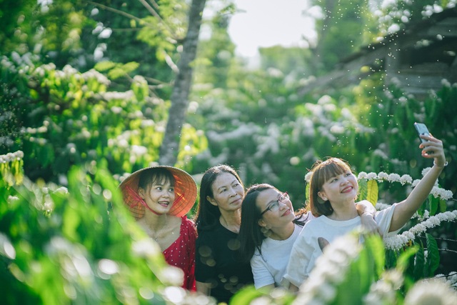 In February, coffee flowers bloom white in the mountains of the Central Highlands, as beautiful as a fairy - 6