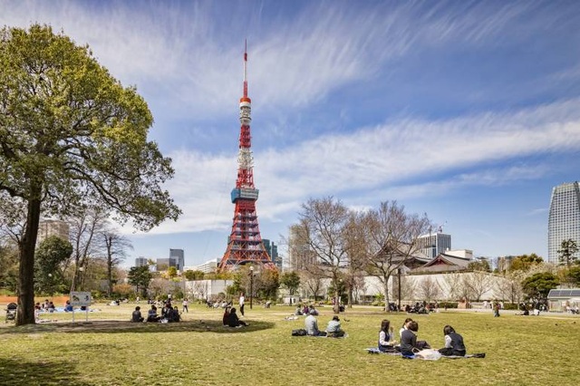 7 địa điểm hoa mơ khoe sắc đẹp nhất Tokyo - 3 7 địa điểm hoa mơ khoe sắc đẹp nhất Tokyo - 3