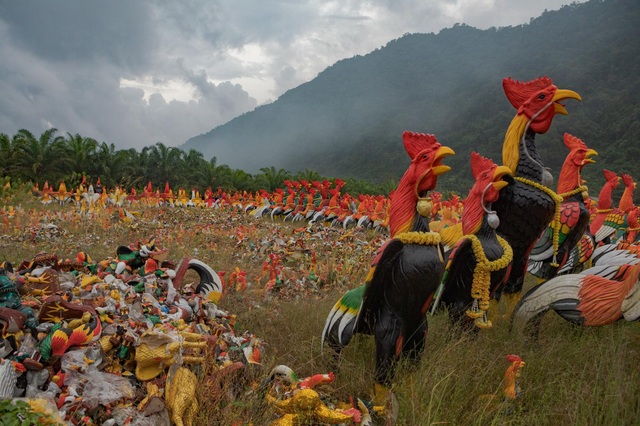 Ngôi chùa khách đến thăm dâng toàn tượng gà, chất đống thành nghĩa địa - 1 Ngôi chùa khách đến thăm dâng toàn tượng gà, chất đống thành nghĩa địa - 1