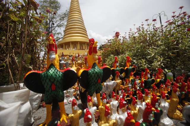 Ngôi chùa khách đến thăm dâng toàn tượng gà, chất đống thành nghĩa địa - 4